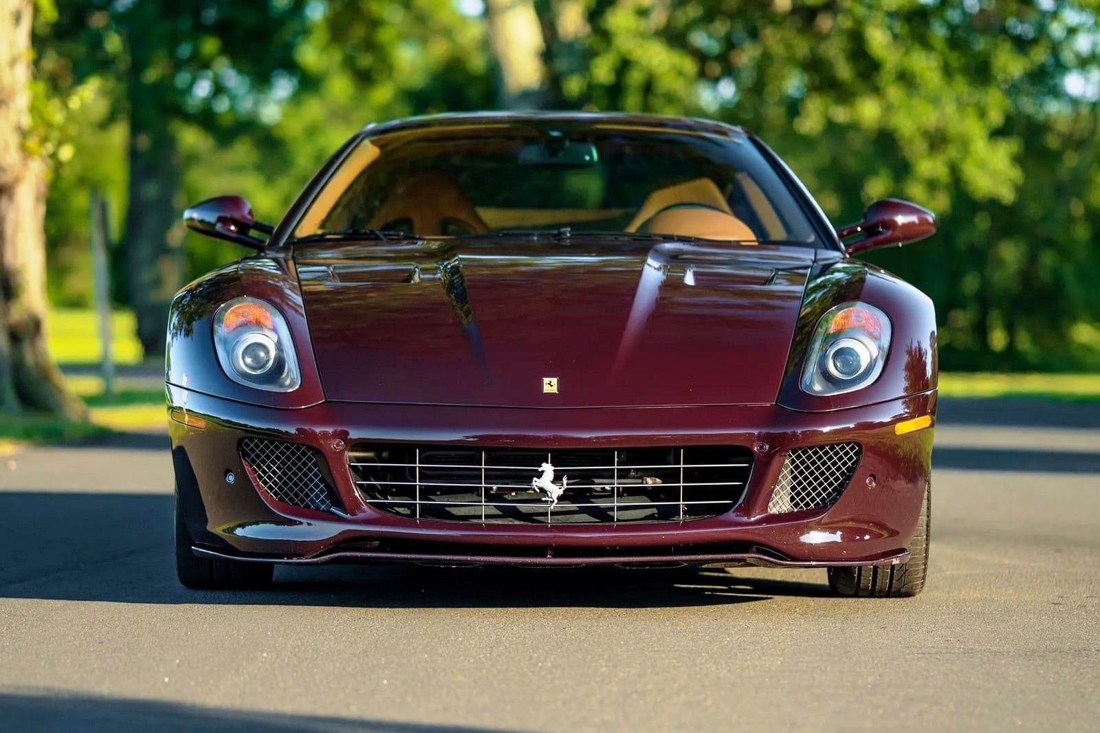 2007 - FERRARI F599 GTB FIORANO VINACCIA, foto 36
