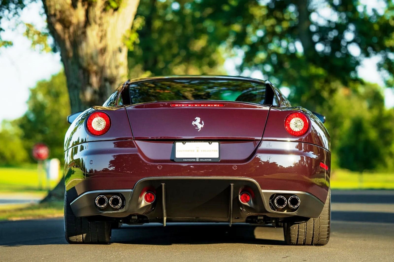 2007 - FERRARI F599 GTB FIORANO VINACCIA, foto 37
