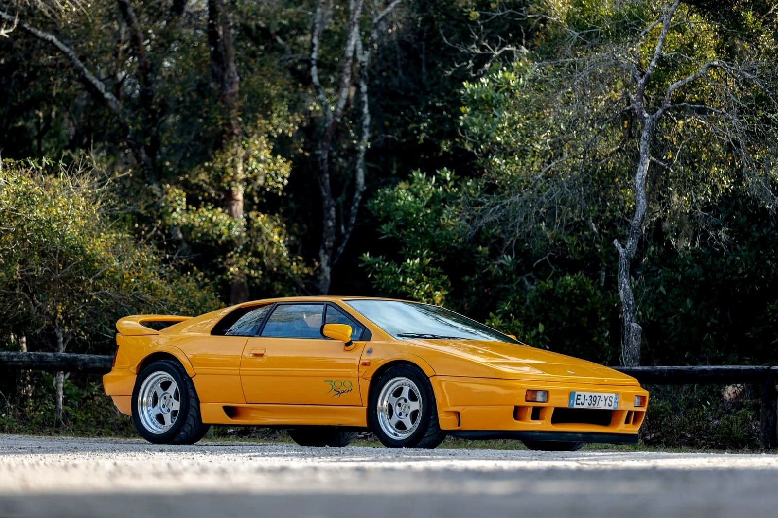 1994 - LOTUS ESPRIT SPORT 300, foto 1