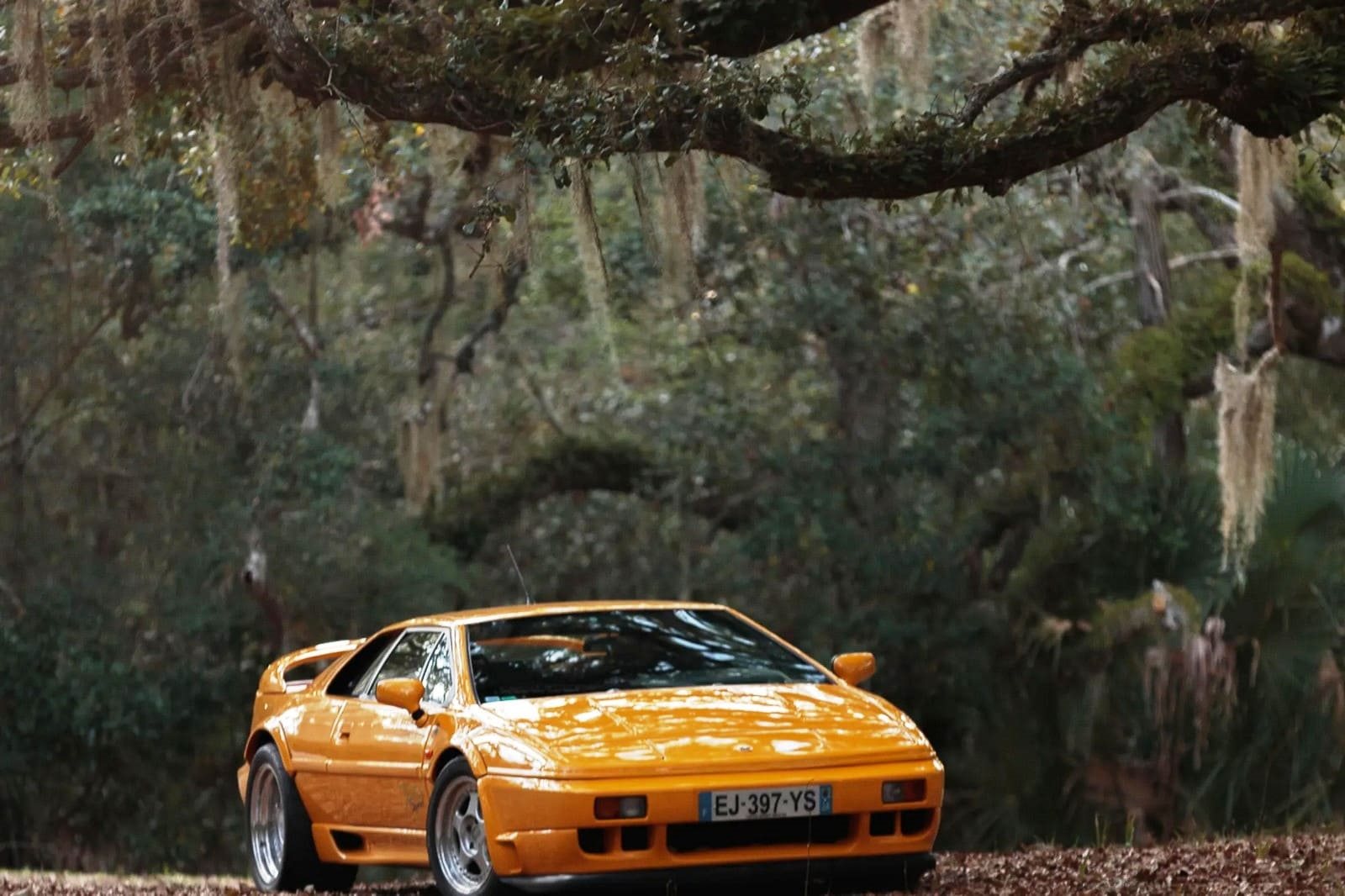 1994 - LOTUS ESPRIT SPORT 300, foto 3