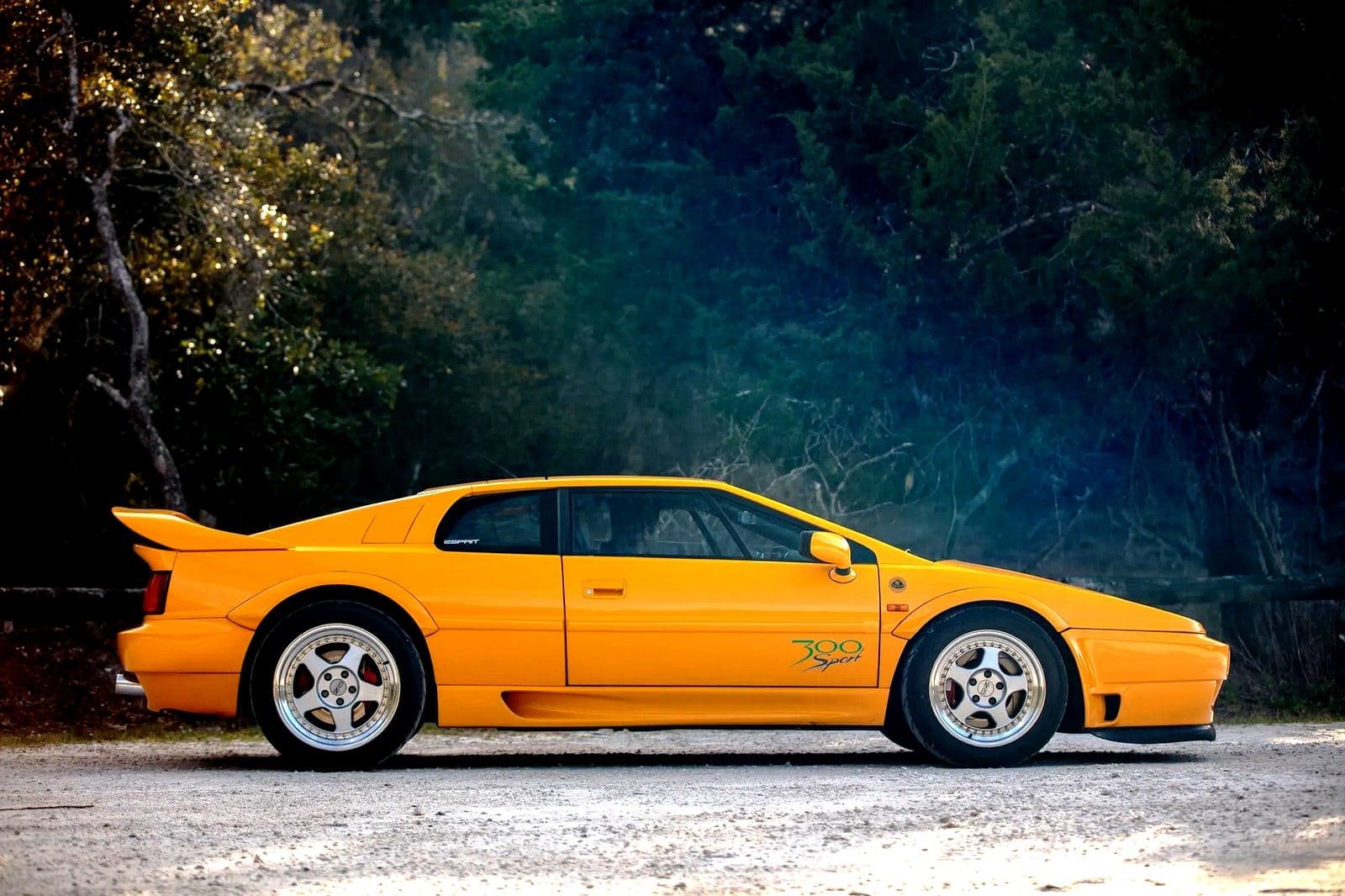 1994 - LOTUS ESPRIT SPORT 300, foto 9