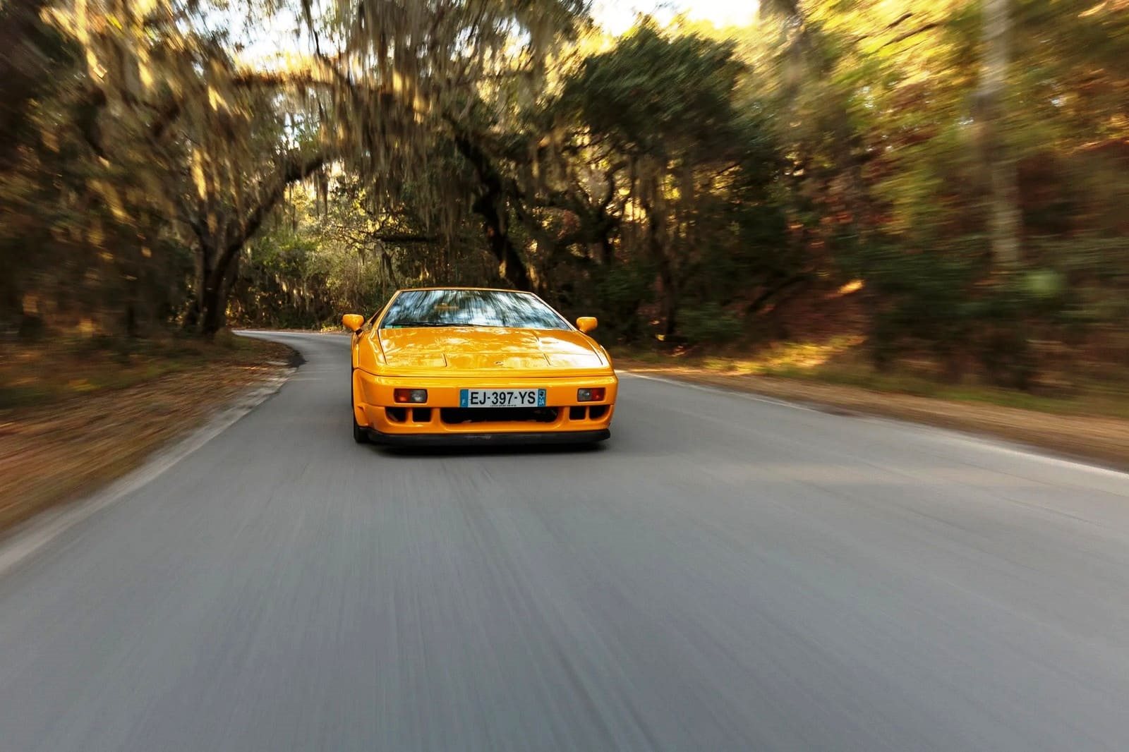 1994 - LOTUS ESPRIT SPORT 300, foto 10