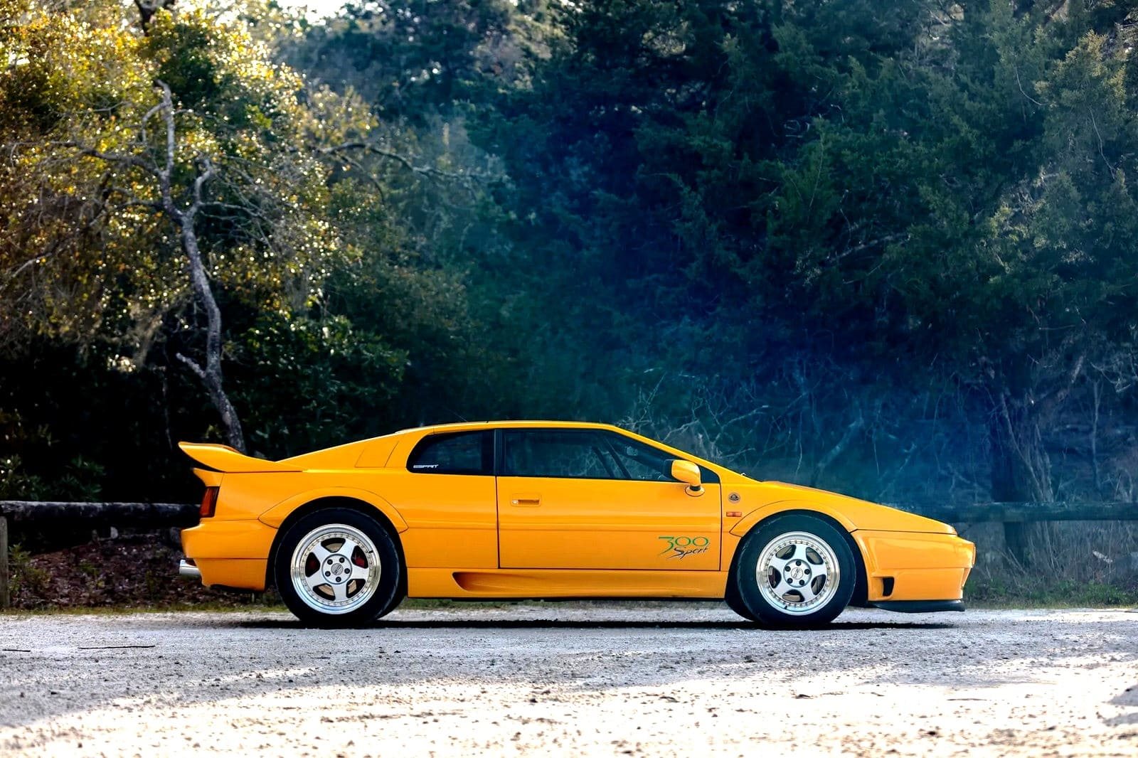 1994 - LOTUS ESPRIT SPORT 300, foto 11