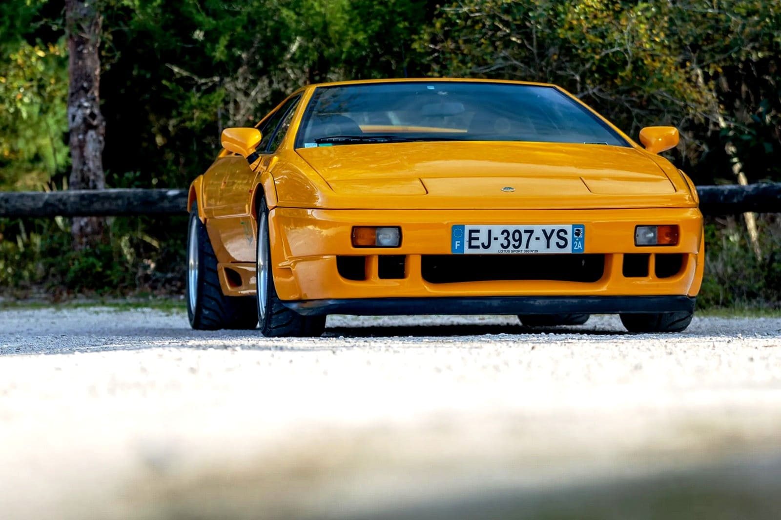 1994 - LOTUS ESPRIT SPORT 300, foto 13