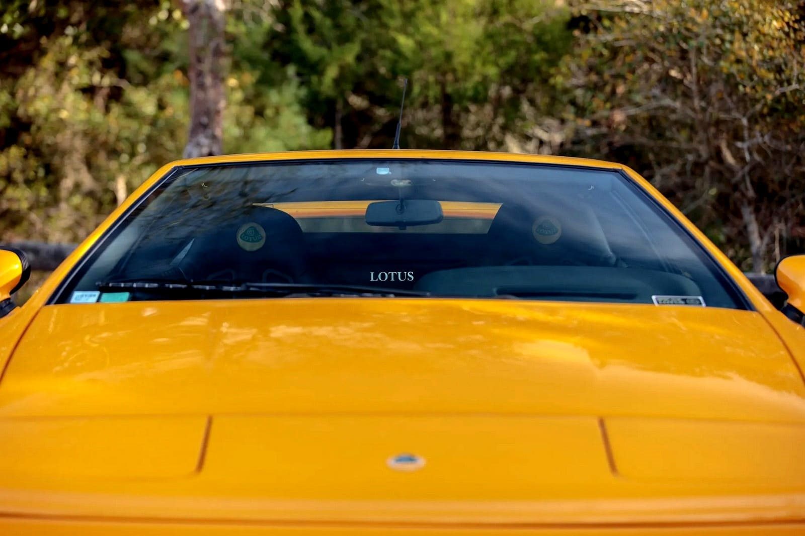 1994 - LOTUS ESPRIT SPORT 300, foto 14