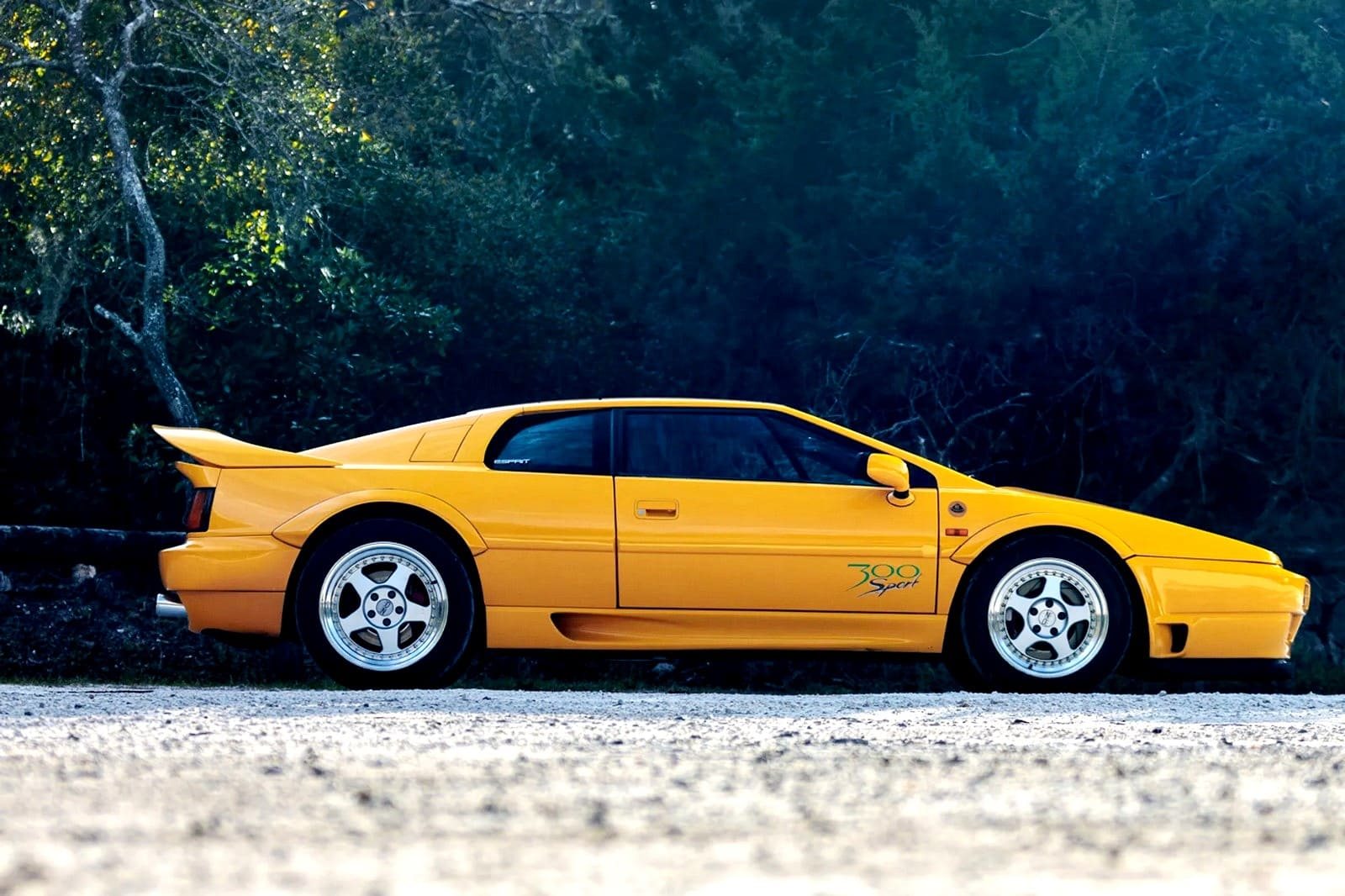 1994 - LOTUS ESPRIT SPORT 300, foto 16
