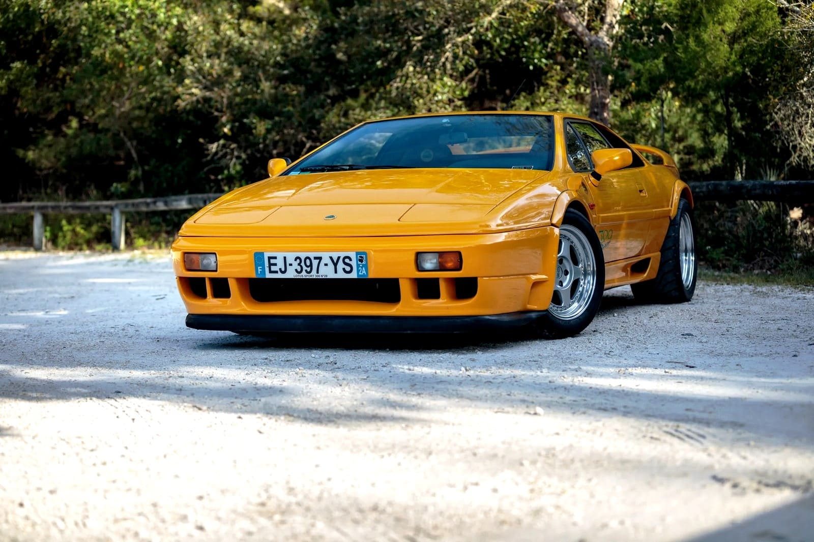 1994 - LOTUS ESPRIT SPORT 300, foto 19