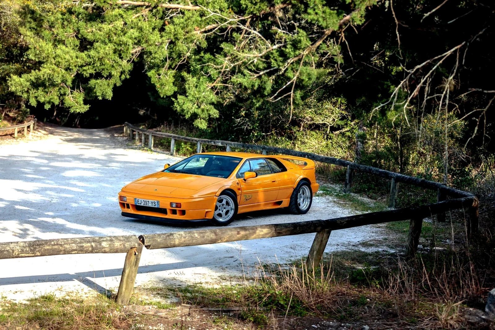 1994 - LOTUS ESPRIT SPORT 300, foto 20