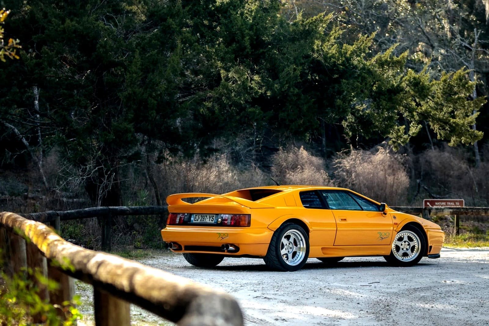 1994 - LOTUS ESPRIT SPORT 300, foto 22