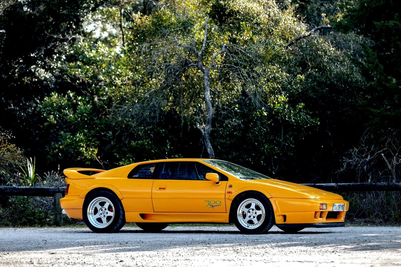 1994 - LOTUS ESPRIT SPORT 300, foto 23