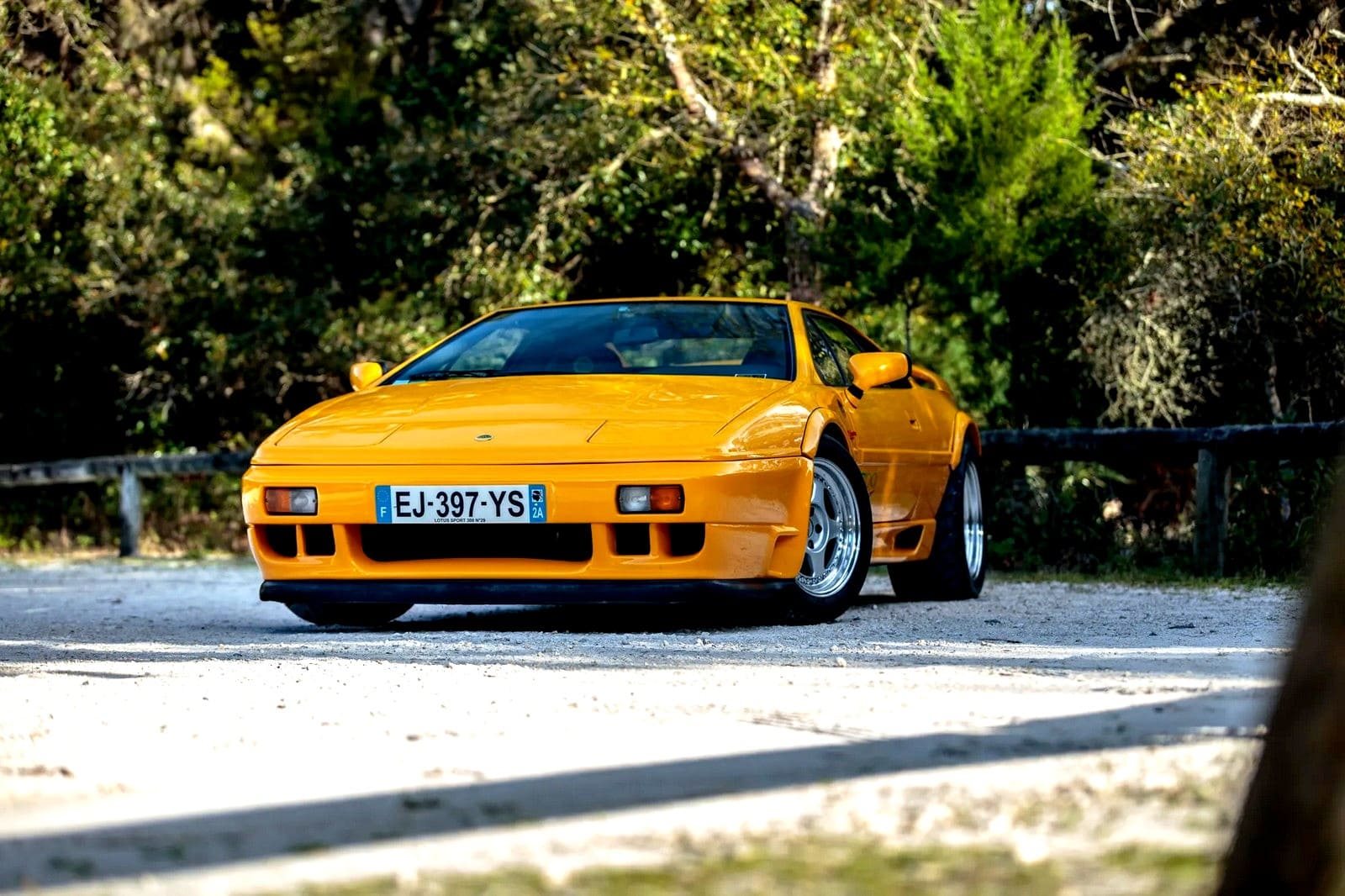 1994 - LOTUS ESPRIT SPORT 300, foto 24