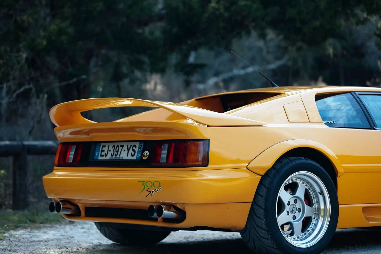 1994 - LOTUS ESPRIT SPORT 300, foto 26