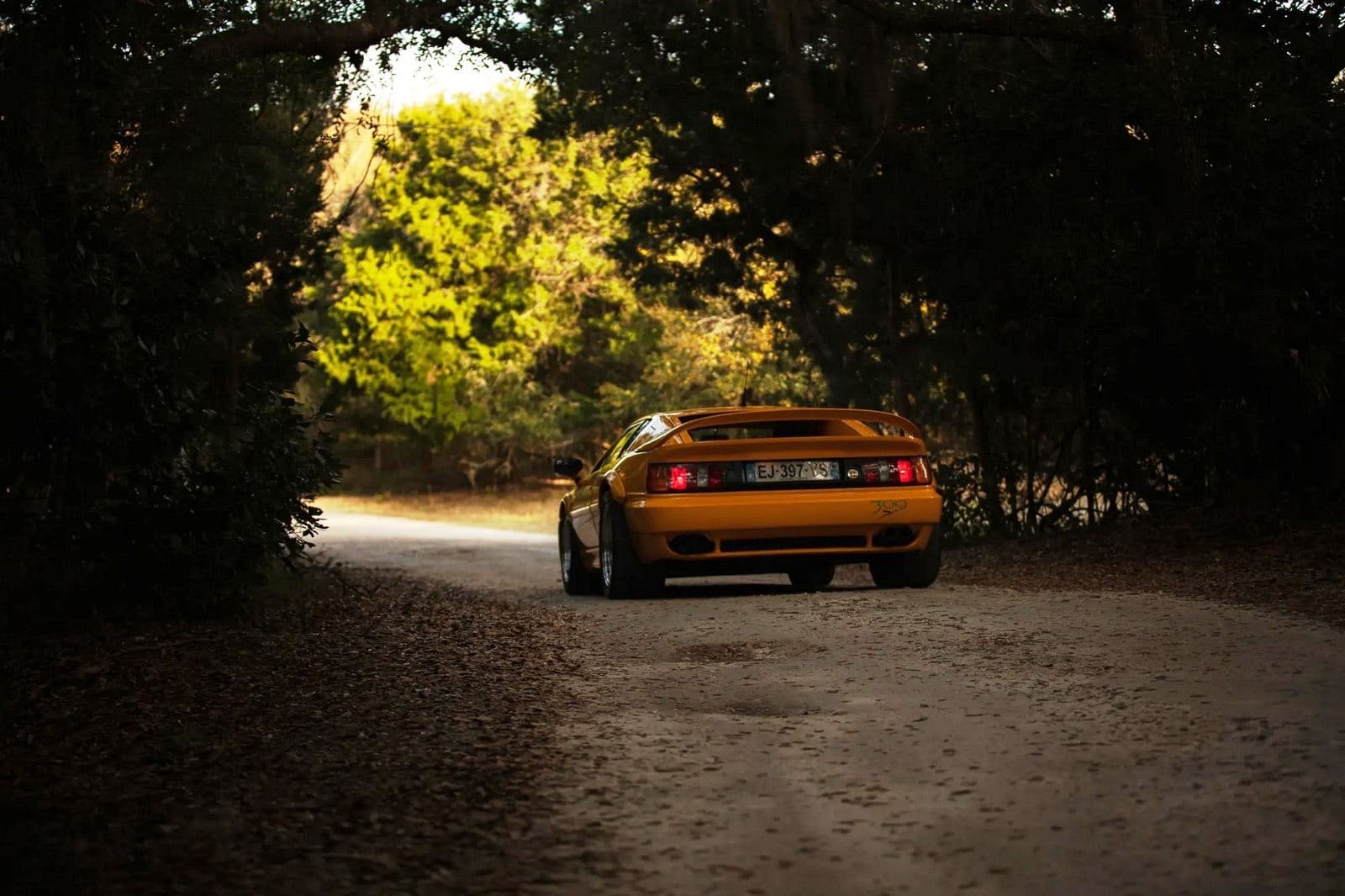 1994 - LOTUS ESPRIT SPORT 300, foto 53