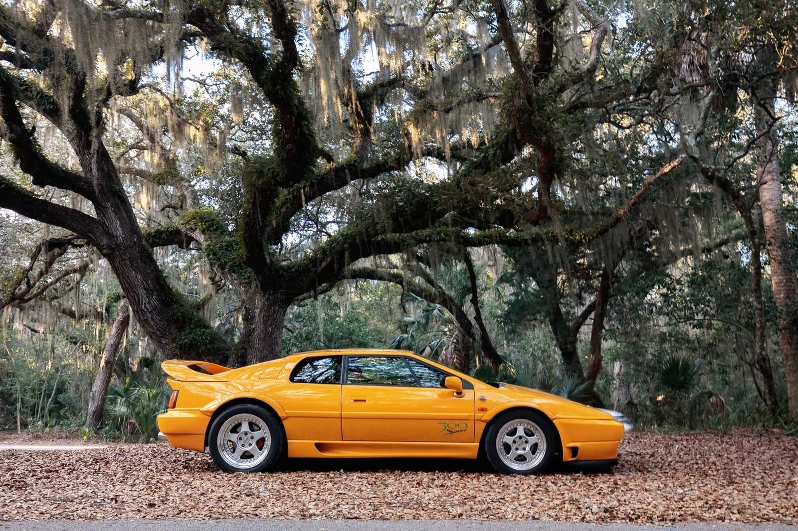 1994 - LOTUS ESPRIT SPORT 300, foto 57