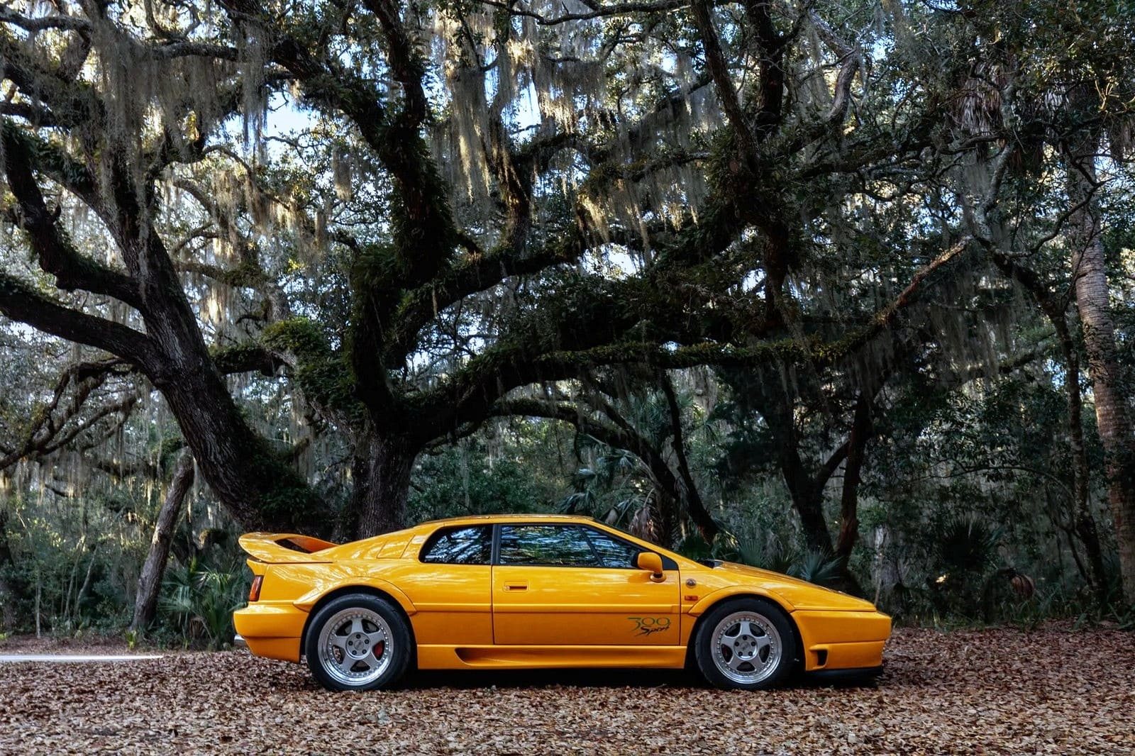1994 - LOTUS ESPRIT SPORT 300, foto 58