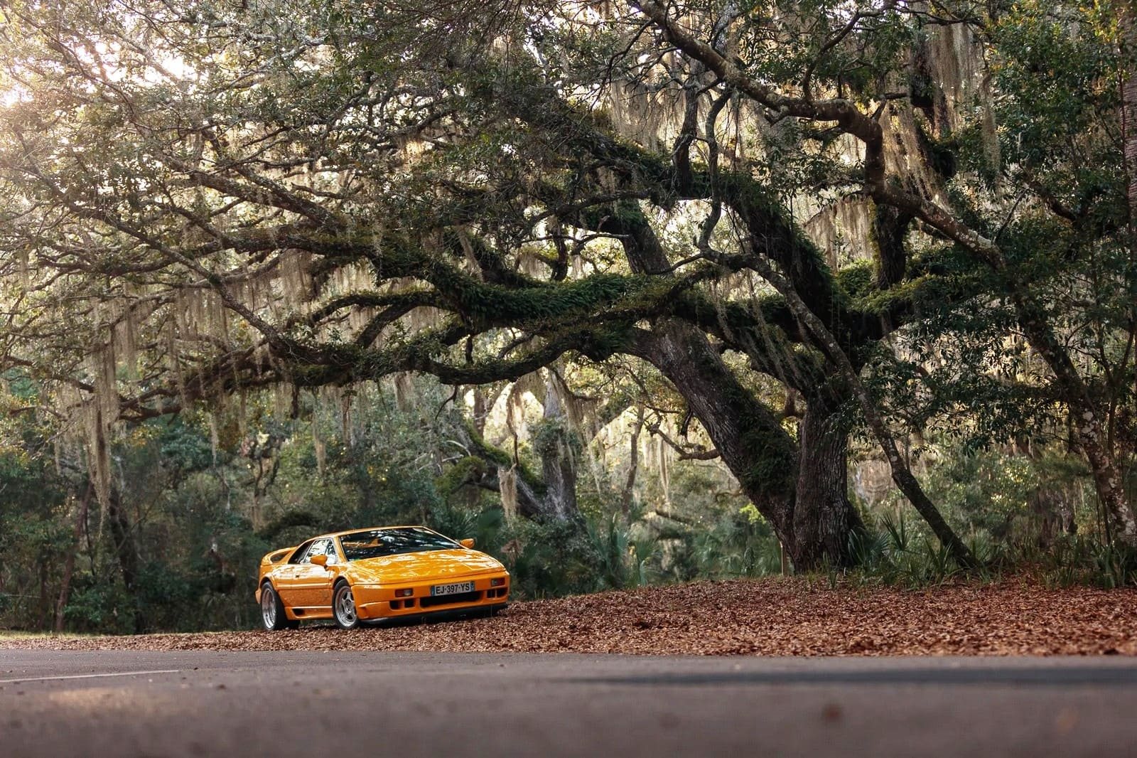 1994 - LOTUS ESPRIT SPORT 300, foto 60