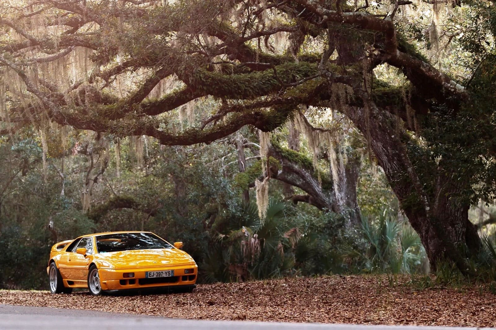 1994 - LOTUS ESPRIT SPORT 300, foto 61