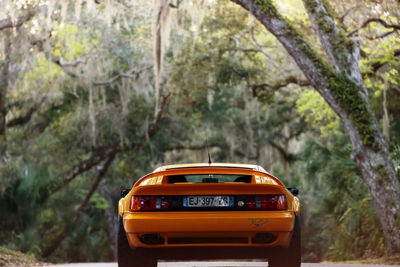 1994 - LOTUS ESPRIT SPORT 300, foto 62
