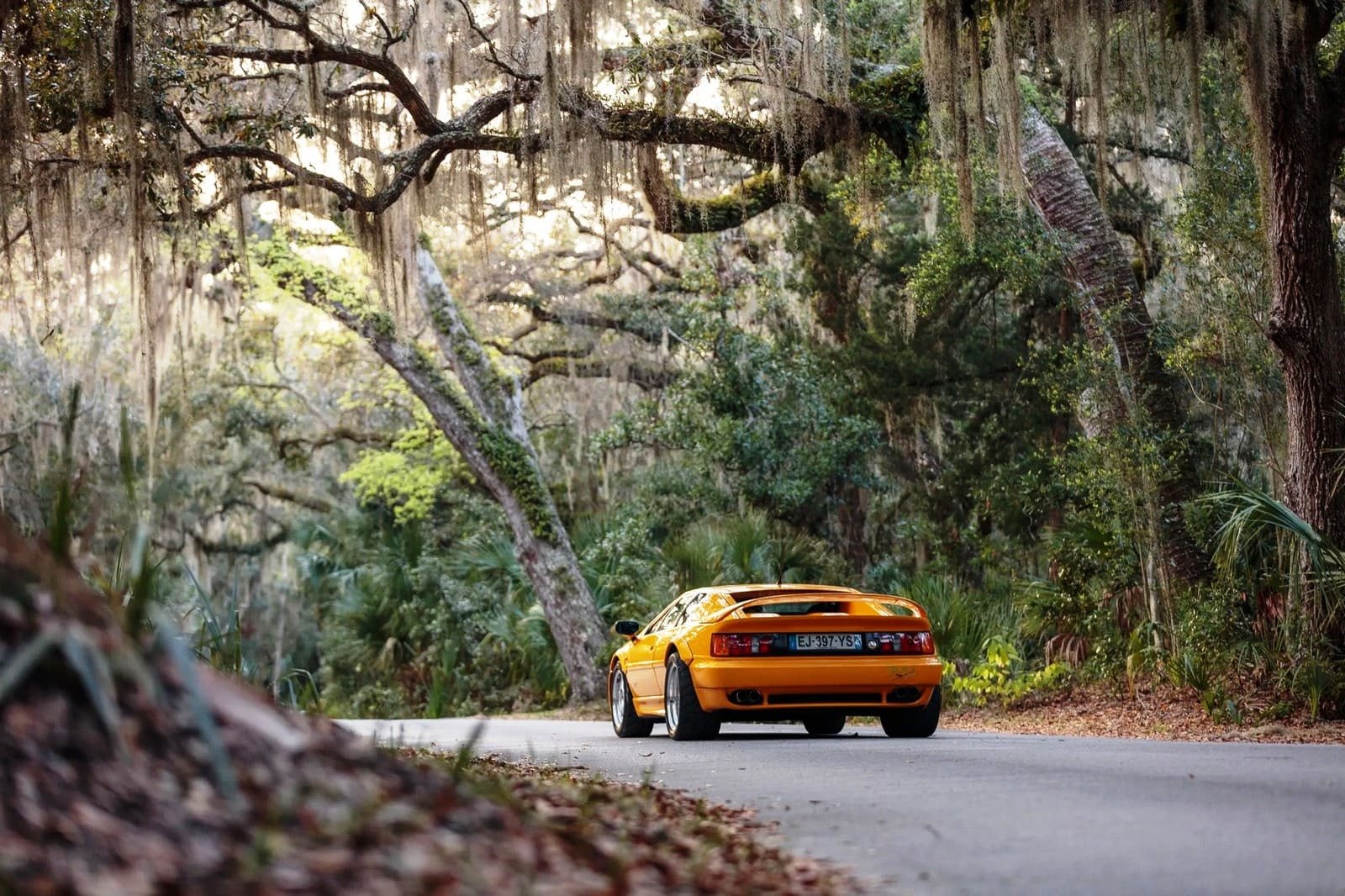 1994 - LOTUS ESPRIT SPORT 300, foto 63