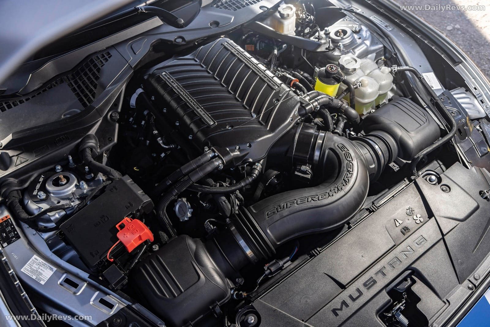 2026 - FORD MUSTANG SHELBY SUPER SNAKE, foto 21