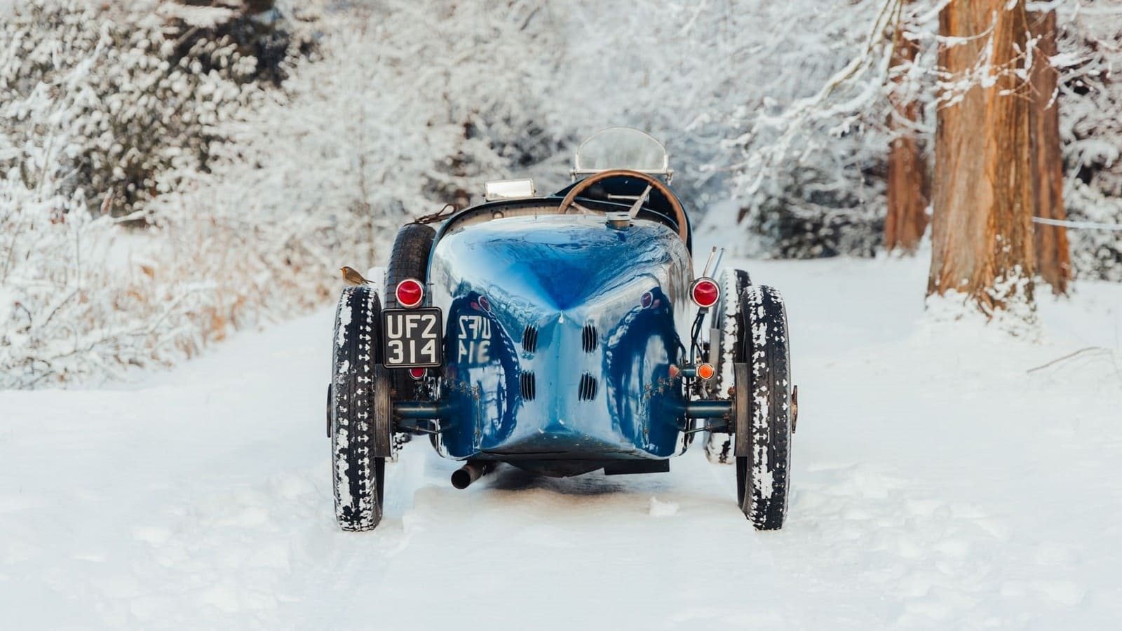 BUGATTI TYPE 37 GRAND PRIX, foto 15