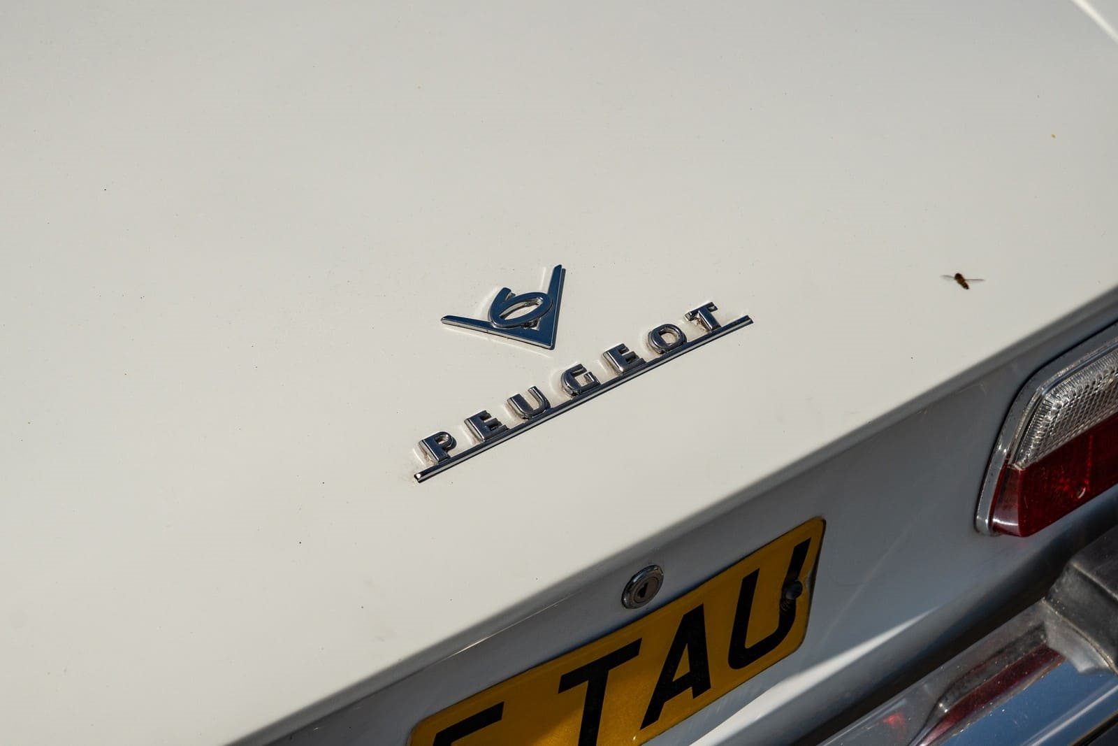 1977 - PEUGEOT 504 V6 CABRIOLET, foto 55