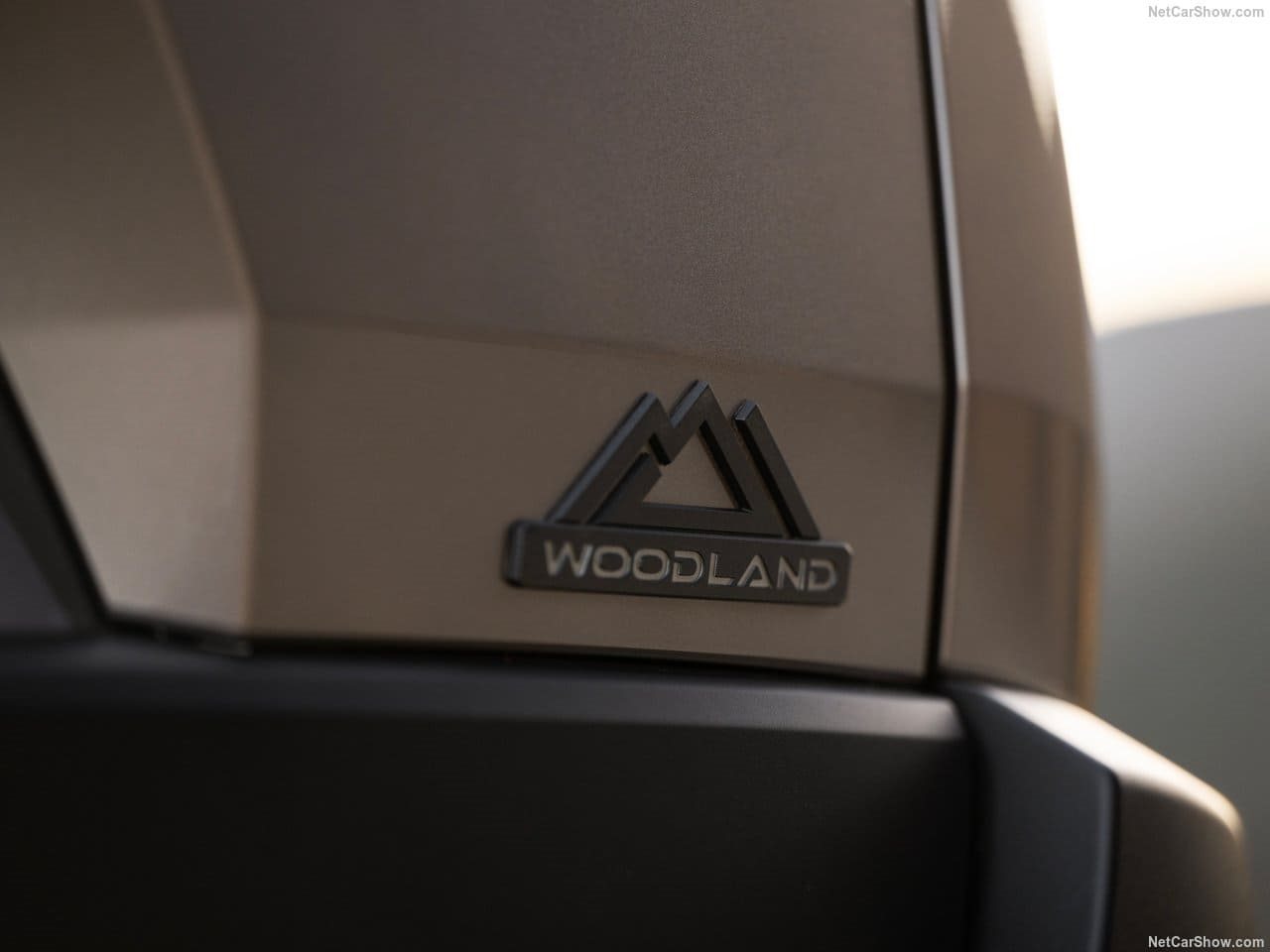 2026 - TOYOTA bZ WOODLAND, foto 145