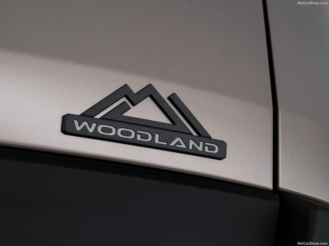 2026 - TOYOTA bZ WOODLAND, foto 147