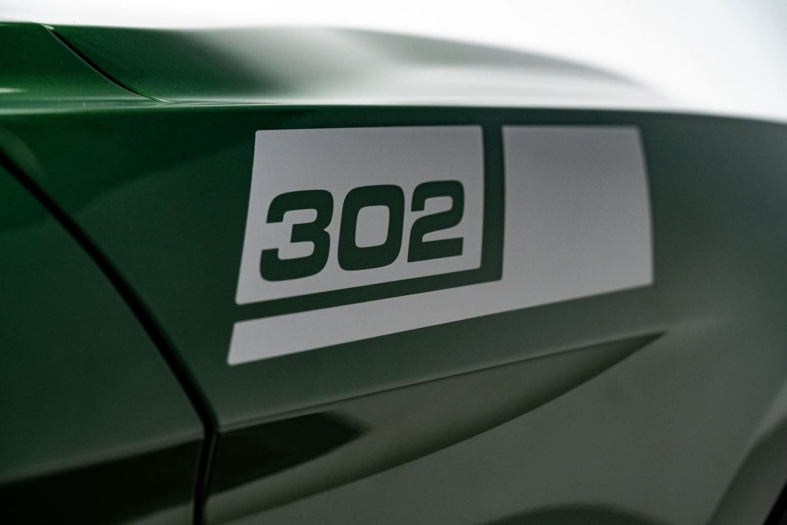 2022 - FORD MUSTANG SALEEN 302, foto 13