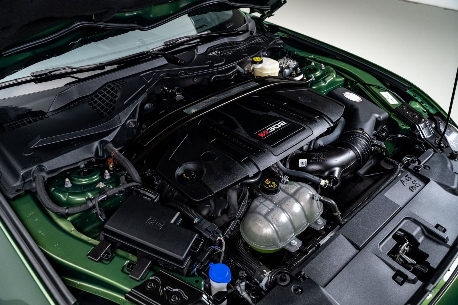 2022 - FORD MUSTANG SALEEN 302, foto 36