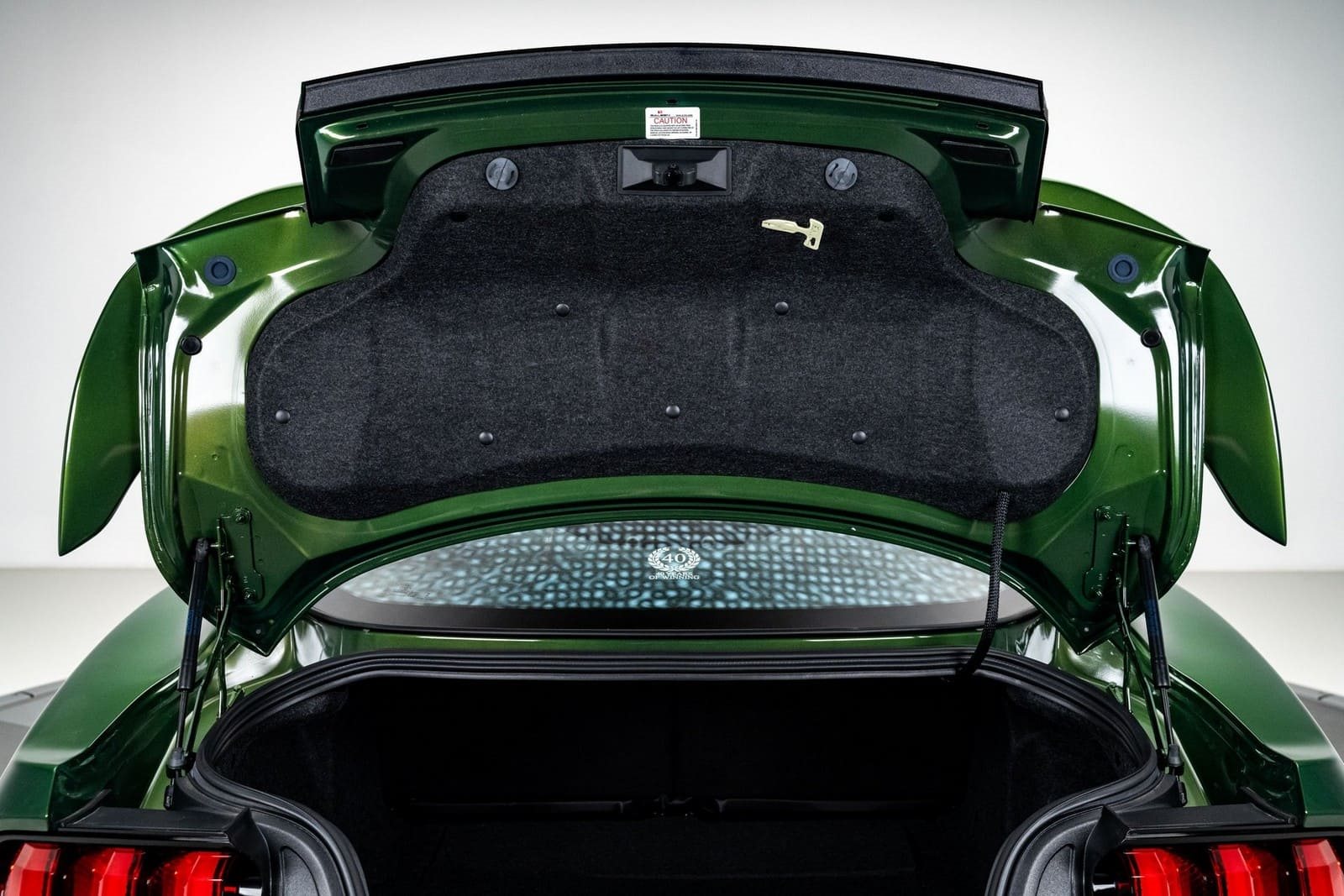 2022 - FORD MUSTANG SALEEN 302, foto 39