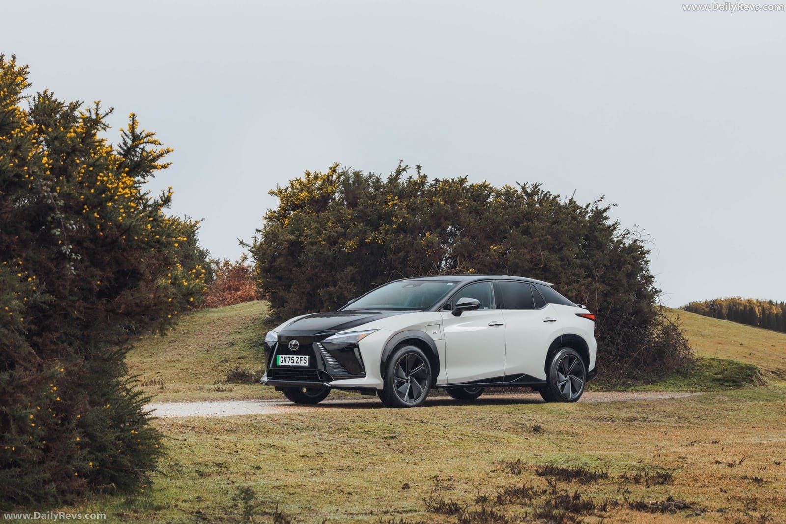 LEXUS RZ 550e F SPORT UK VERSION, foto 3