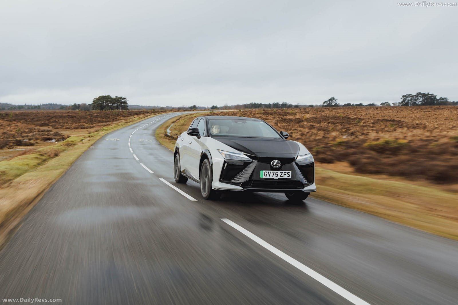 LEXUS RZ 550e F SPORT UK VERSION, foto 5