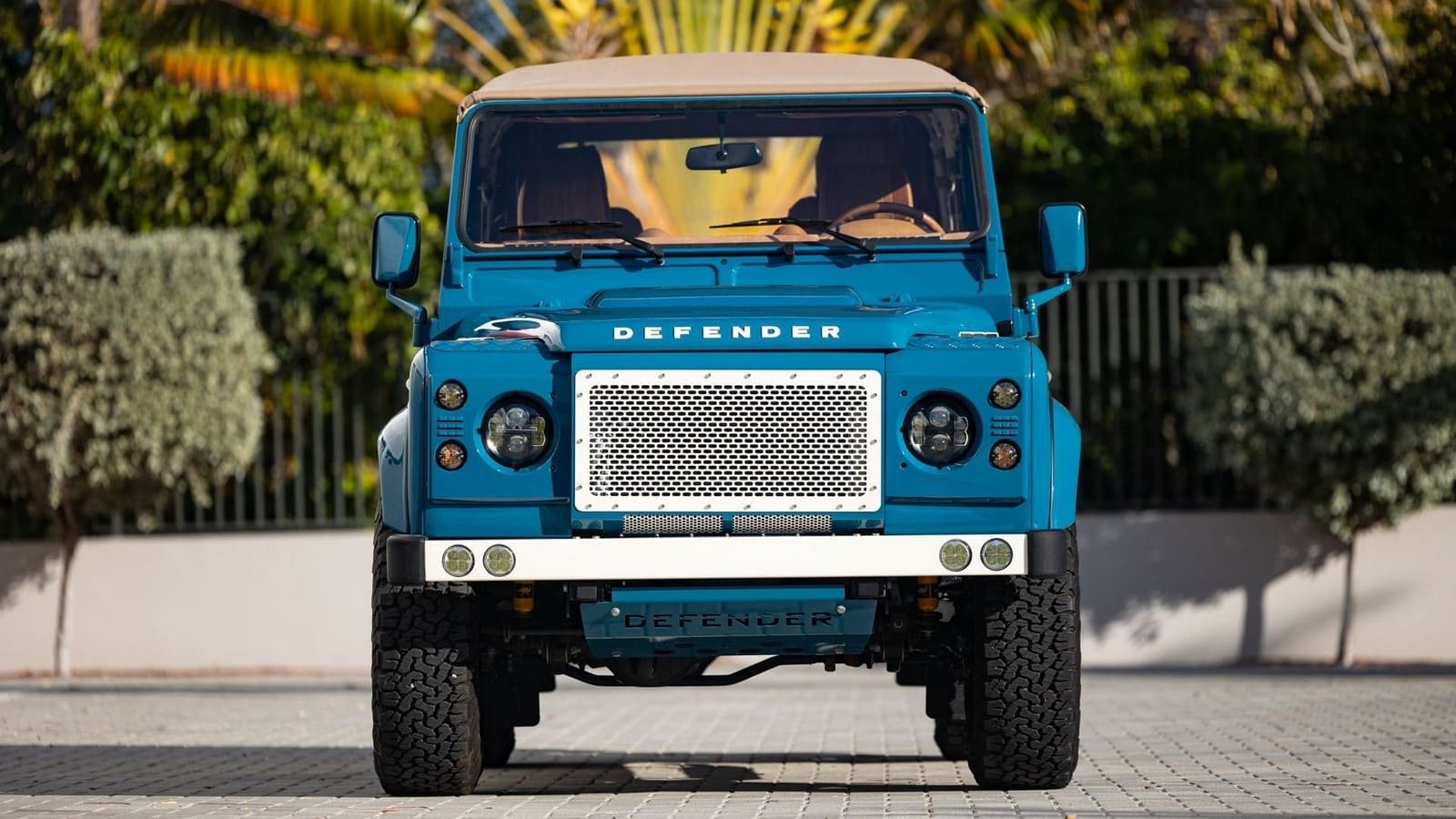 1988 - LAND ROVER D110 SOFT TOP BY ROVER TROPHY, foto 4