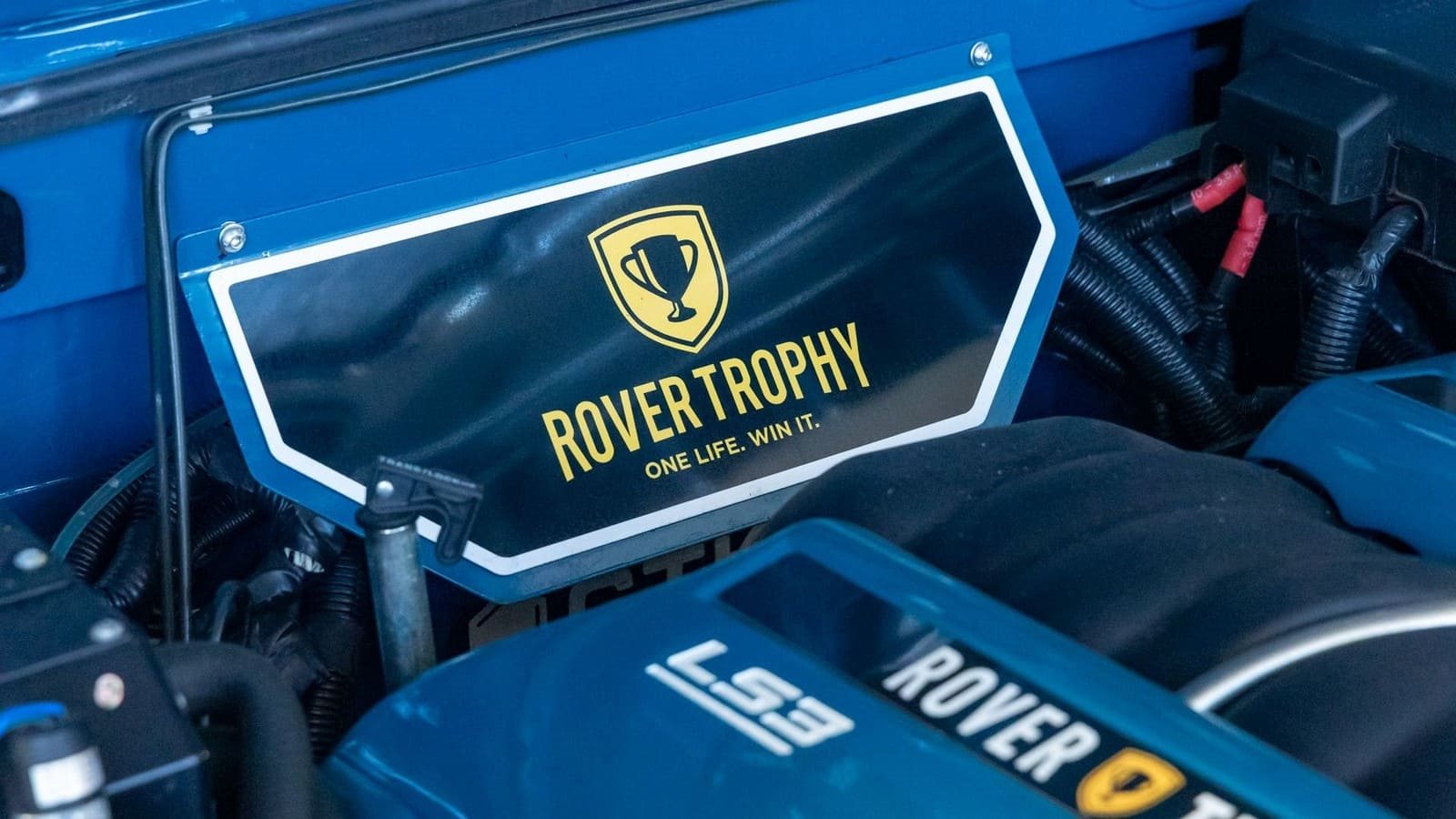 1988 - LAND ROVER D110 SOFT TOP BY ROVER TROPHY, foto 117
