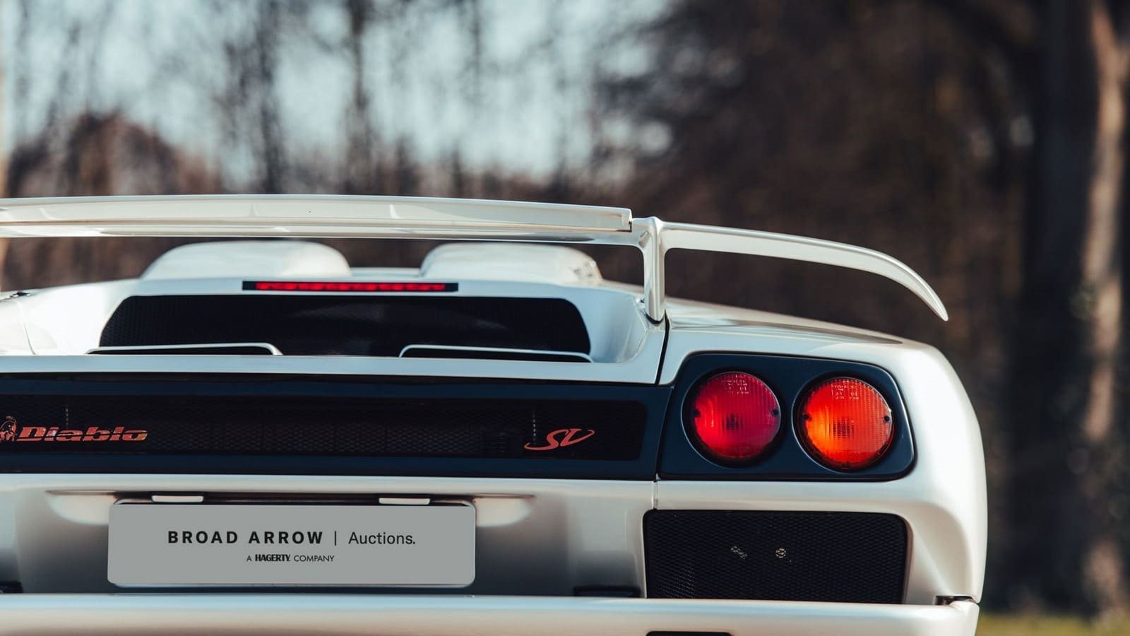 1999 - LAMBORGHINI DIABLO SV PEARL WHITE, foto 8