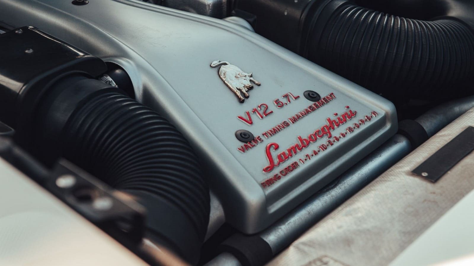 1999 - LAMBORGHINI DIABLO SV PEARL WHITE, foto 23