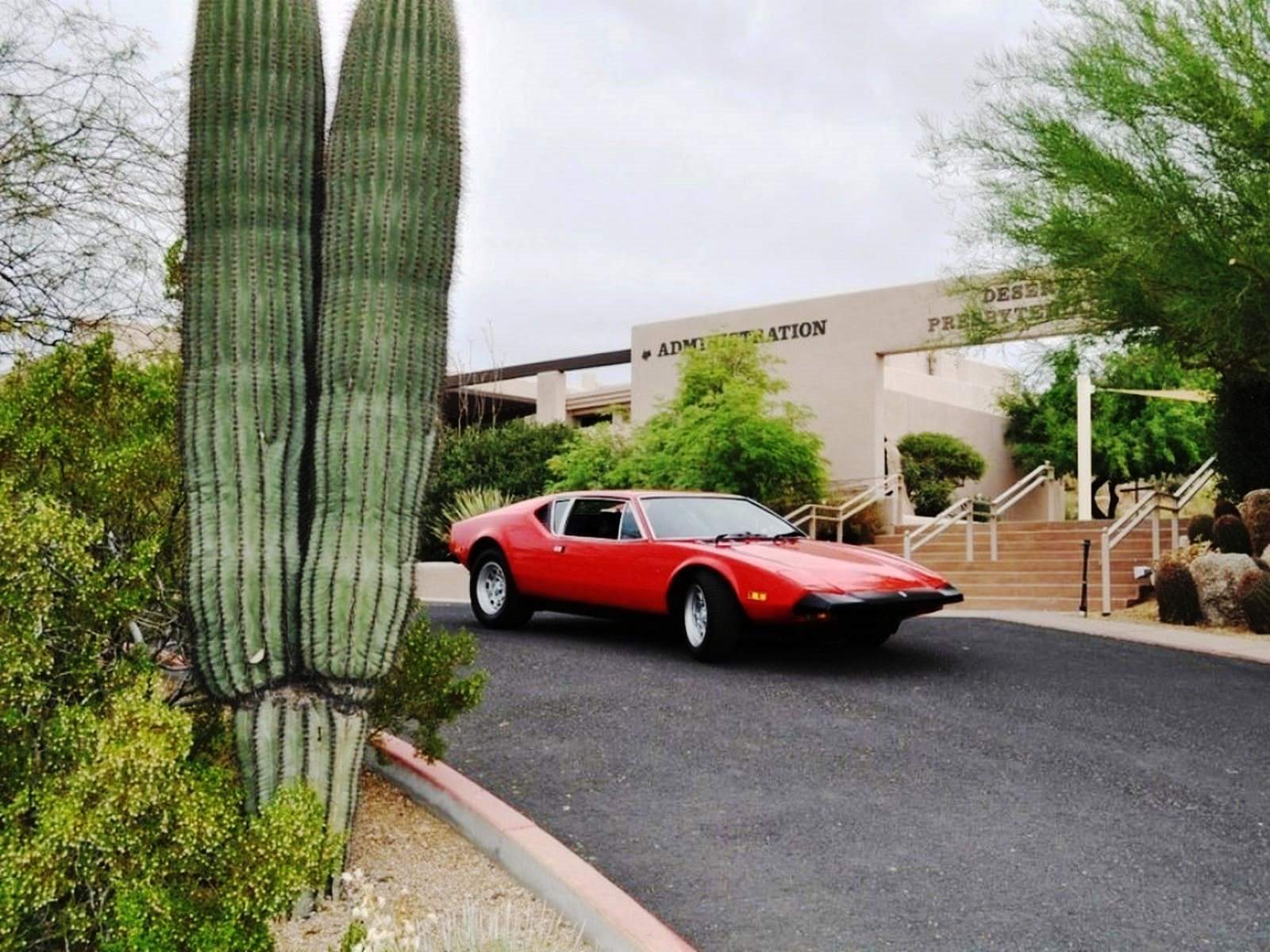 1973 - DE TOMASO PANTERA RED, foto 13