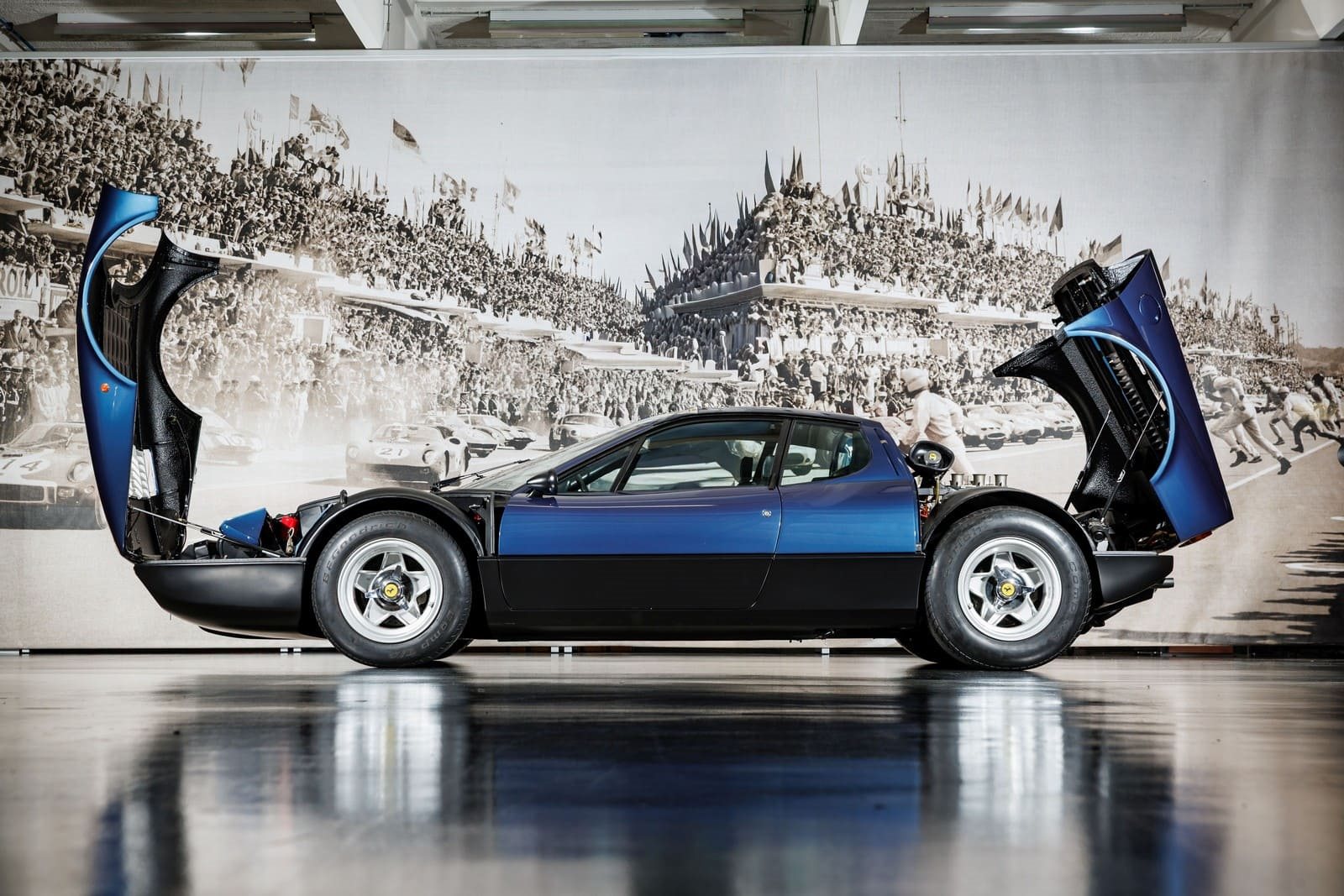1975 - FERRARI F365 GT4/BB BLU SERA, foto 8