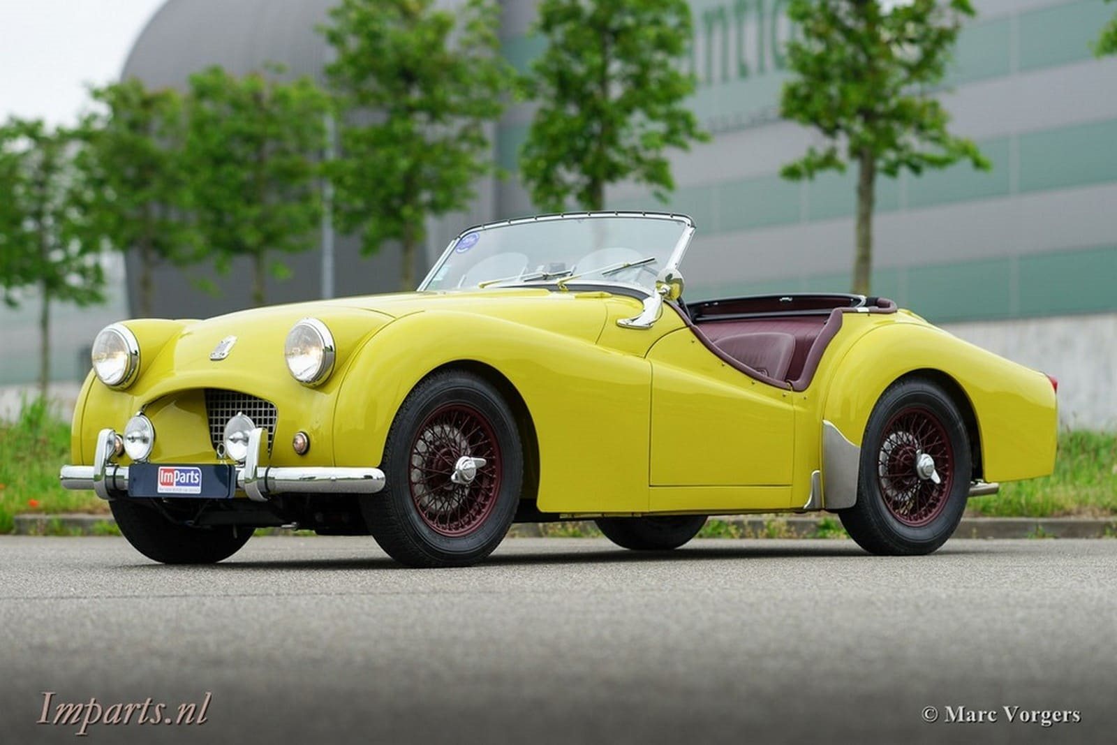 1955 - TRIUMPH TR2 OLIVE YELLOW, foto 1