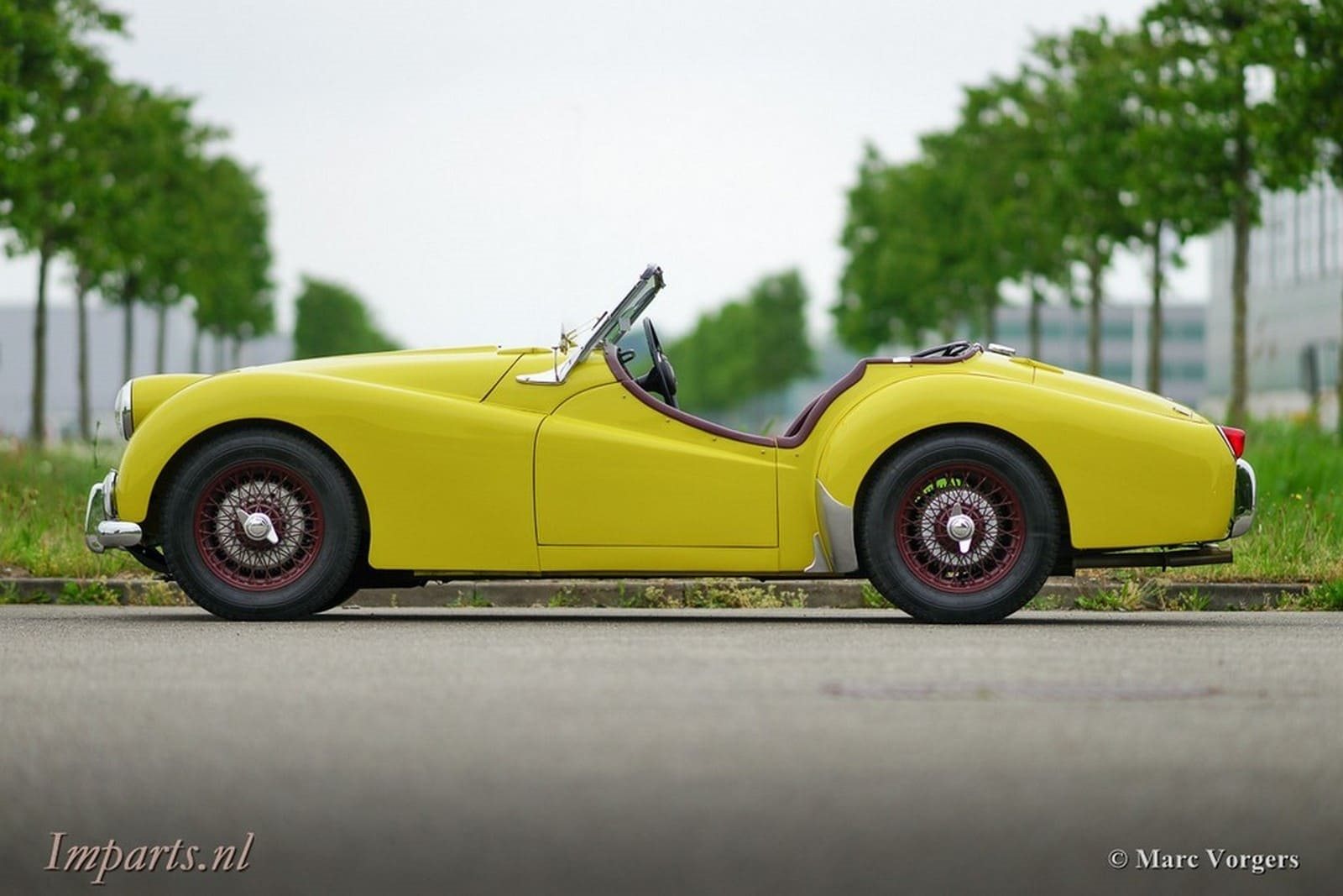 1955 - TRIUMPH TR2 OLIVE YELLOW, foto 3