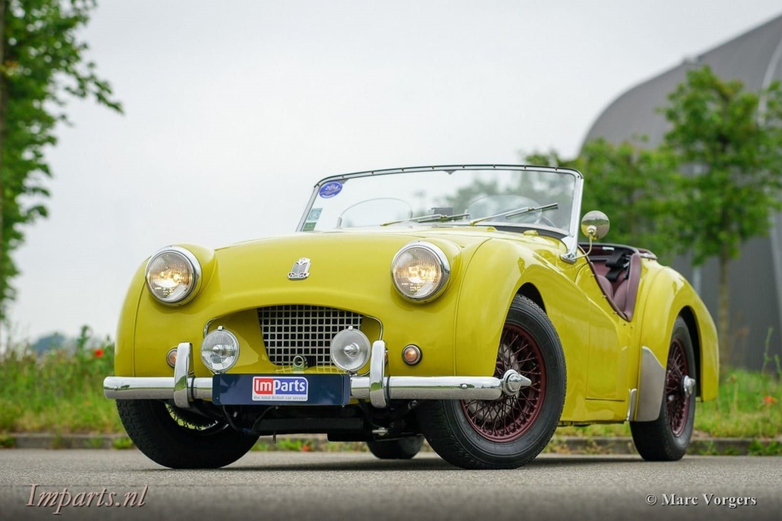 1955 - TRIUMPH TR2 OLIVE YELLOW, foto 8