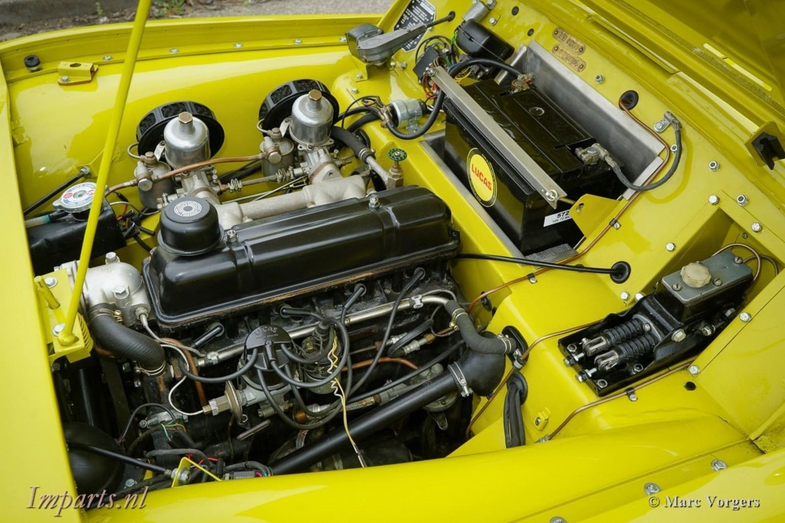 1955 - TRIUMPH TR2 OLIVE YELLOW, foto 10