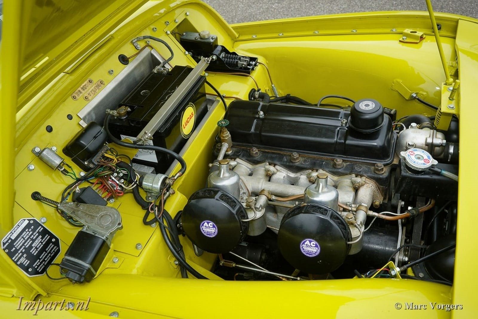 1955 - TRIUMPH TR2 OLIVE YELLOW, foto 11