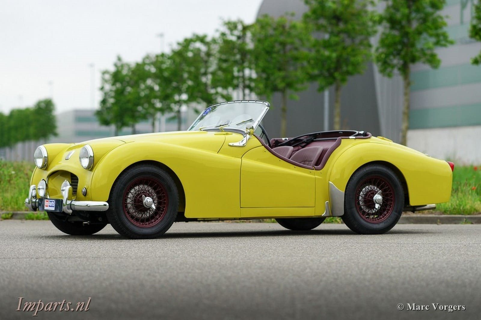 1955 - TRIUMPH TR2 OLIVE YELLOW, foto 13