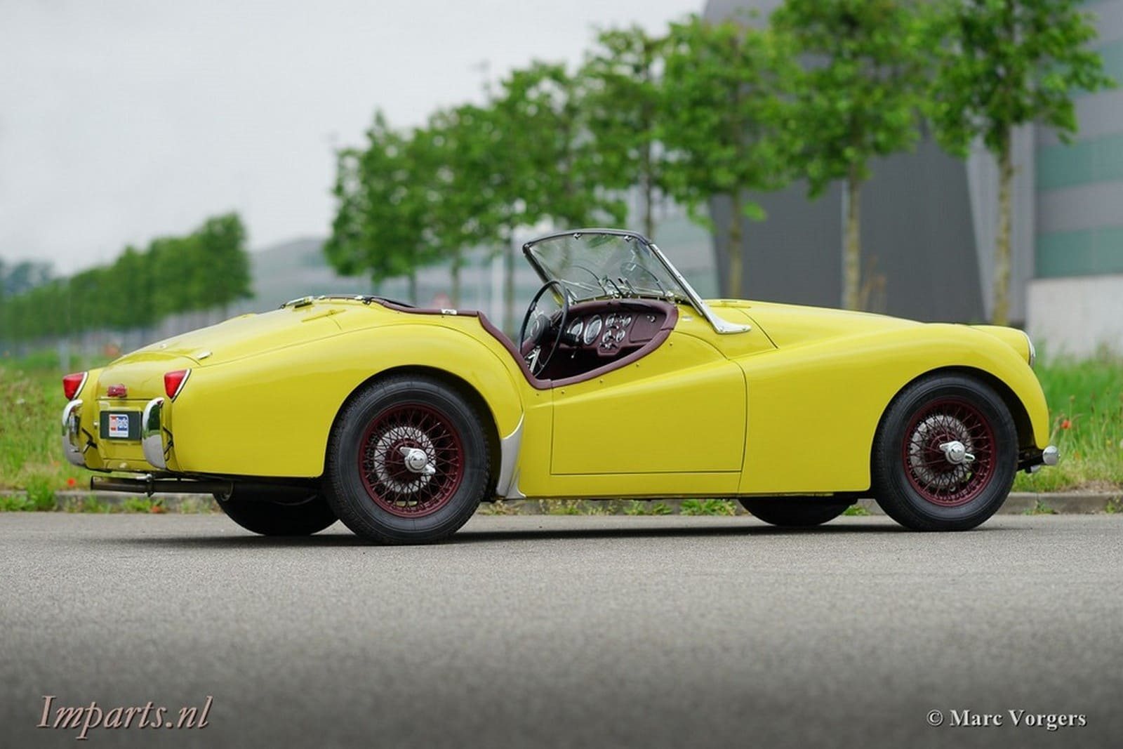 1955 - TRIUMPH TR2 OLIVE YELLOW, foto 16