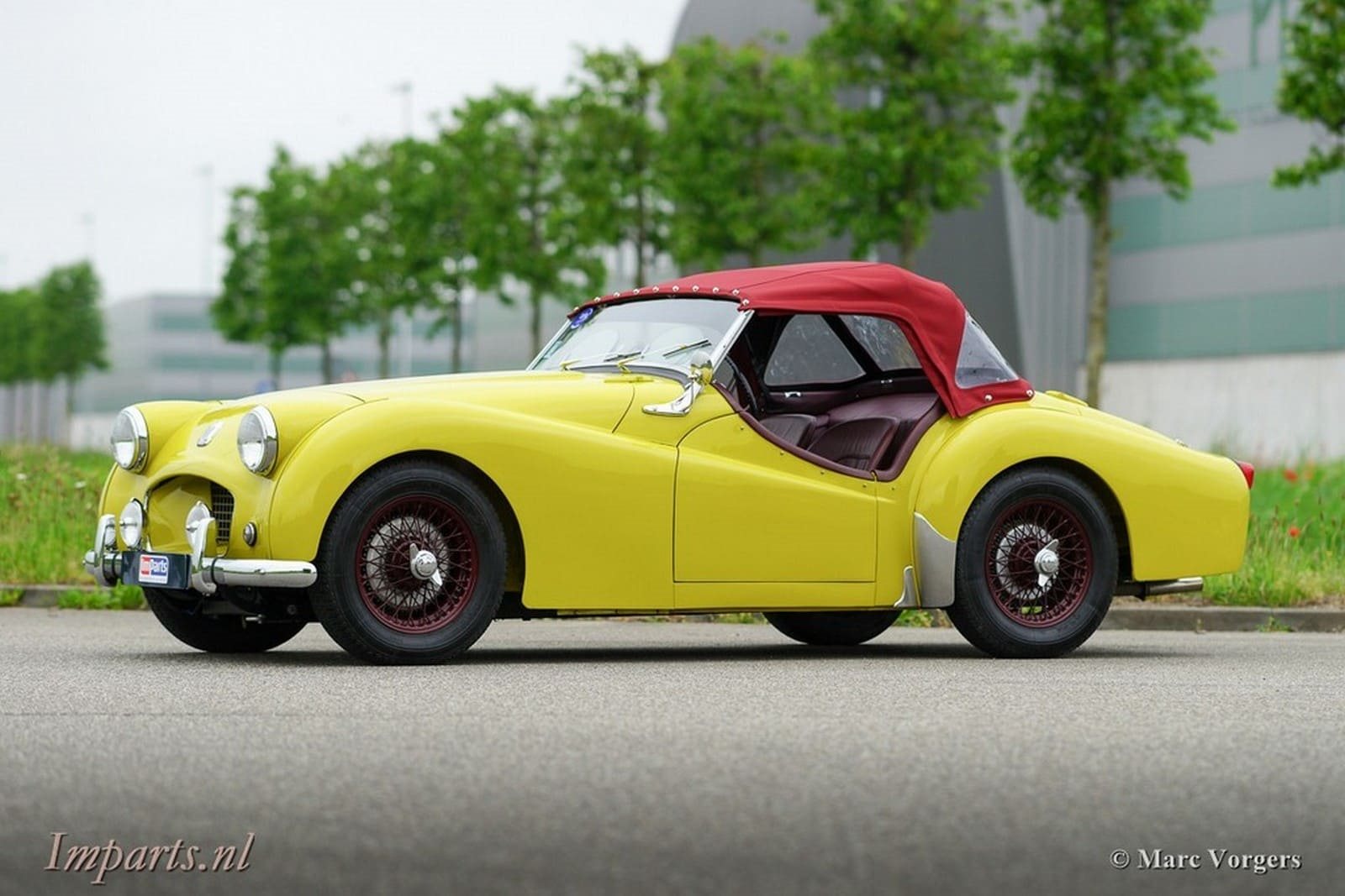 1955 - TRIUMPH TR2 OLIVE YELLOW, foto 20