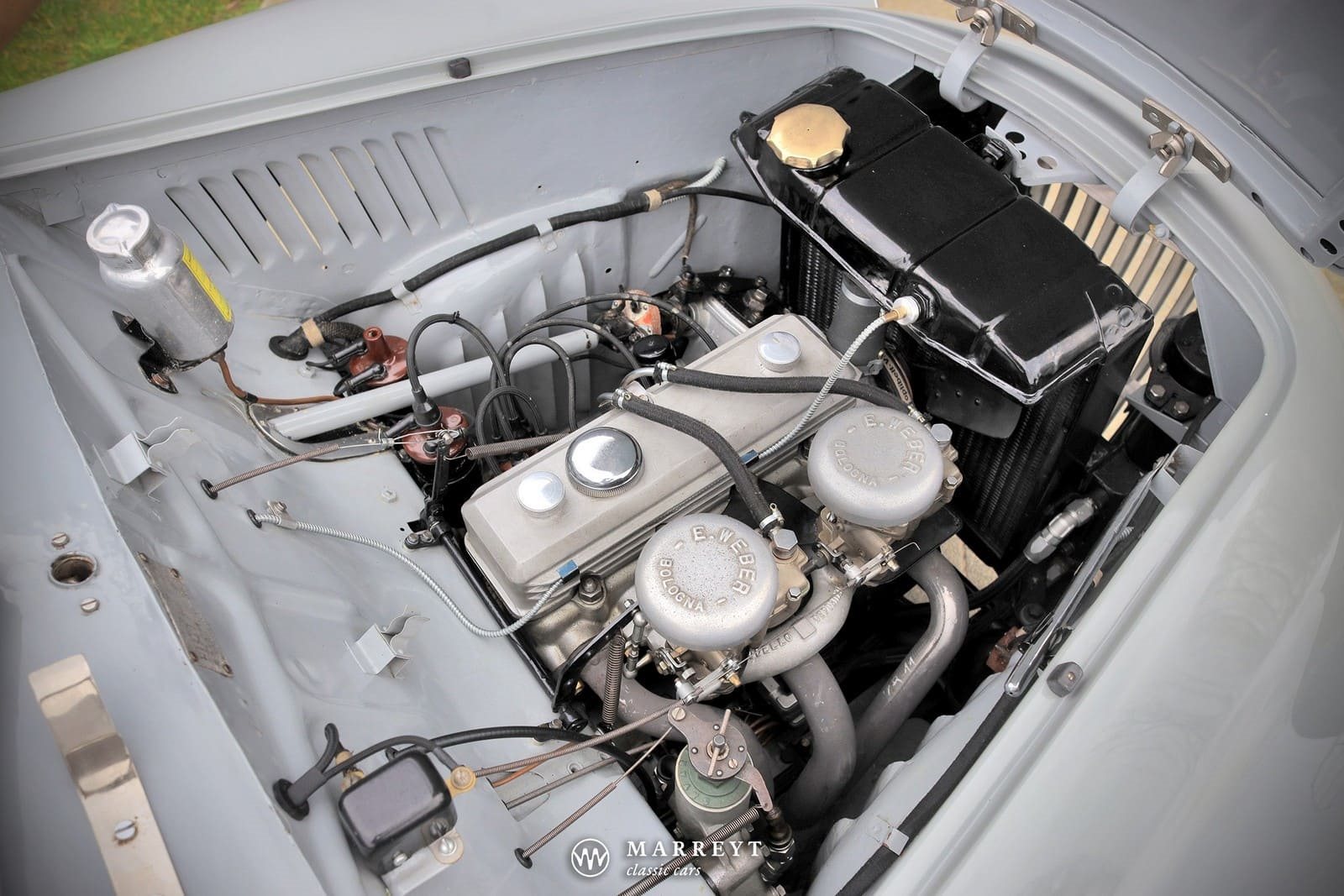 FIAT 1100 ‘GOBBONE’ COUPE GREY, foto 20