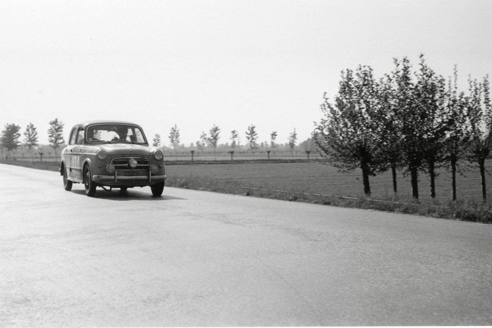 1954 - FIAT 1100 TV GRIGIO, foto 45
