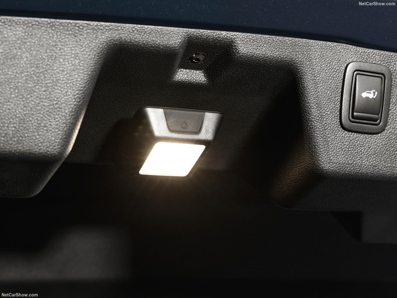 DACIA STRIKER, foto 88